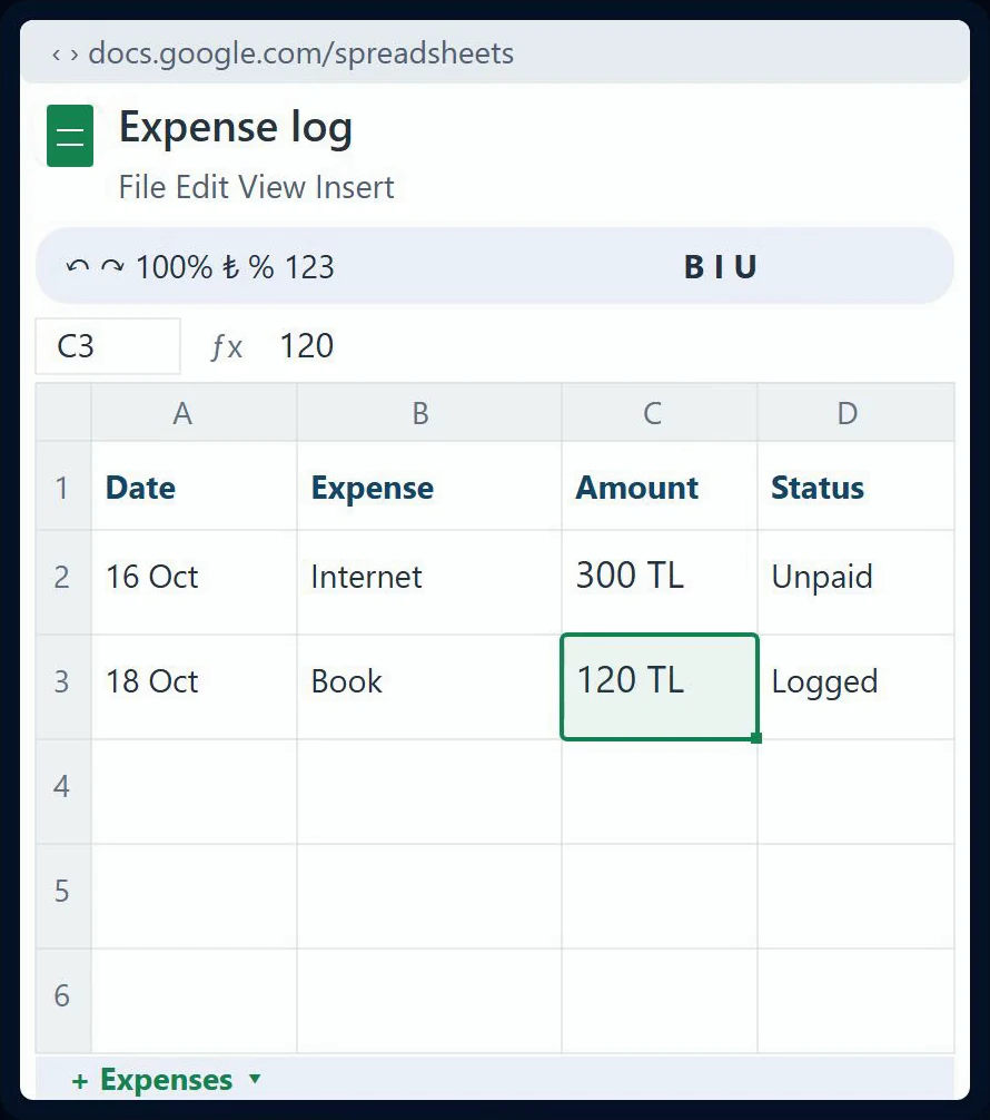 Video frame showing expense records as rows in a spreadsheet