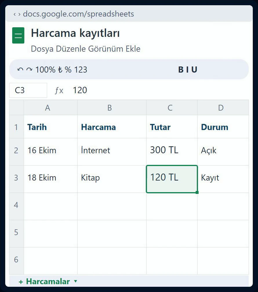 Harcama kayıtlarını satırlar halinde gösteren e-tablo video karesi